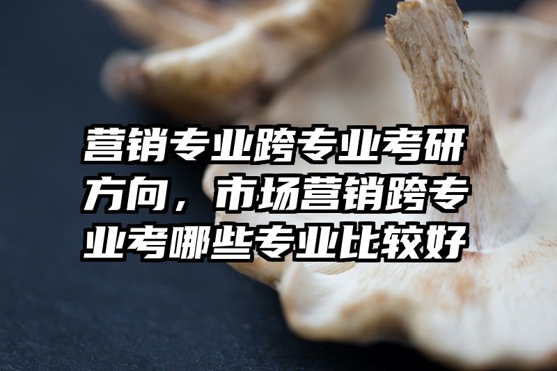 营销专业跨专业考研方向，市场营销跨专业考哪些专业比较好