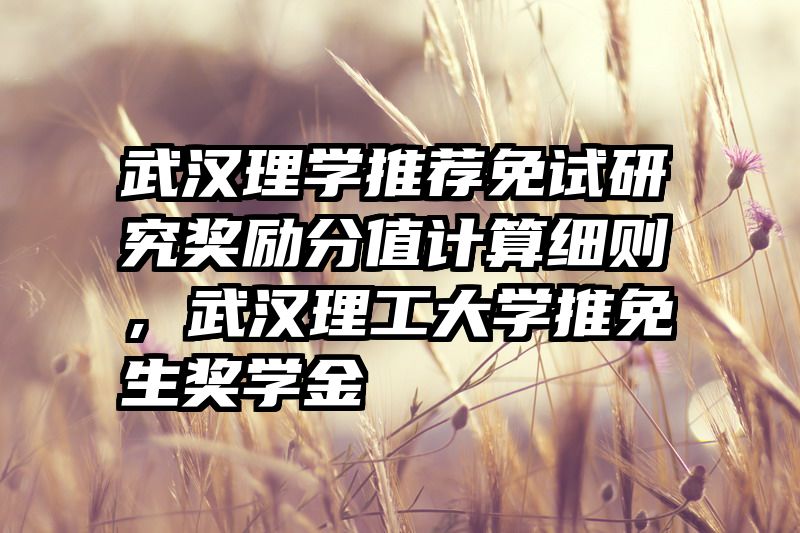 武汉理学推荐免试研究奖励分值计算细则,武汉理工大学推免生奖学金