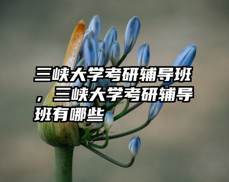 三峡大学考研辅导班,三峡大学考研辅导班有哪些