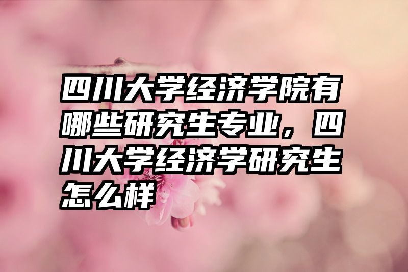 四川大学经济学院有哪些研究生专业,四川大学经济学研究生怎么样