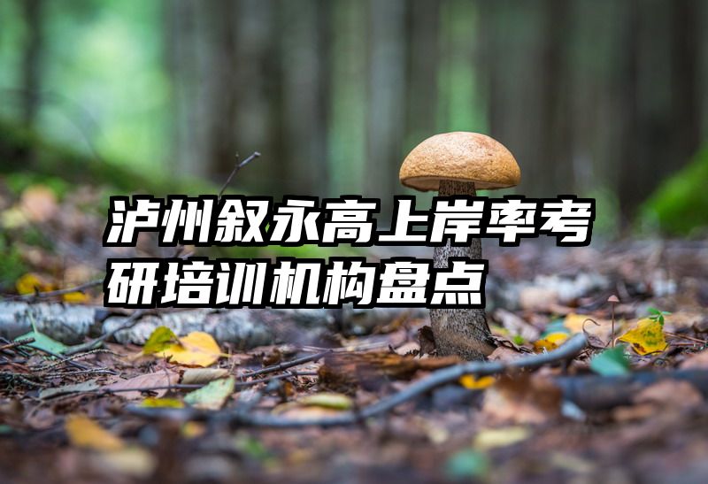 泸州叙永高上岸率考研培训机构盘点