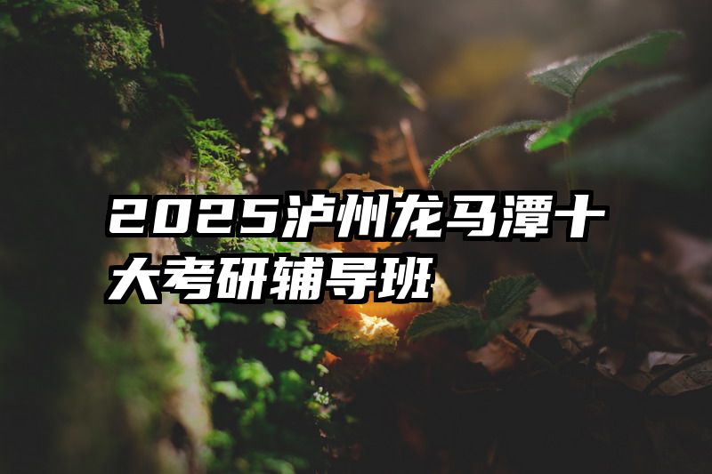 2025泸州龙马潭十大考研辅导班