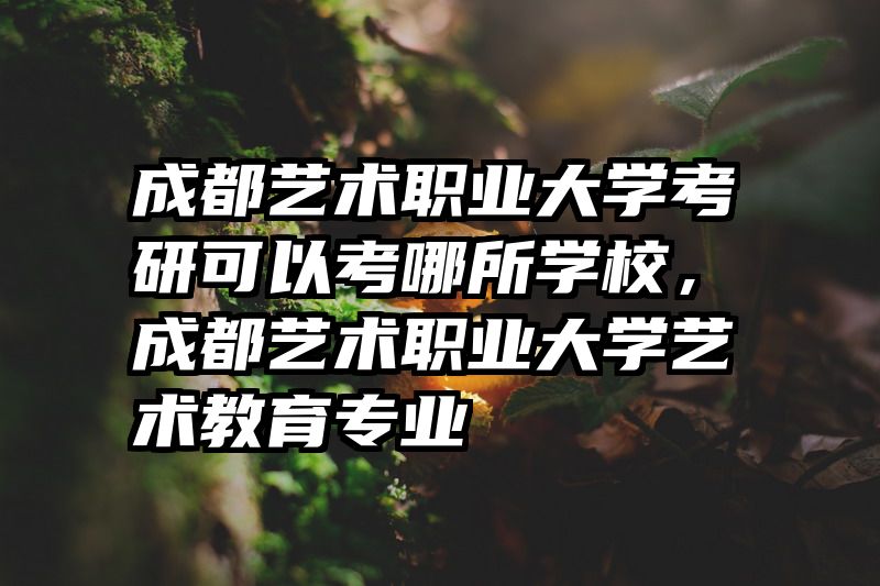 成都艺术职业大学考研可以考哪所学校，成都艺术职业大学艺术教育专业