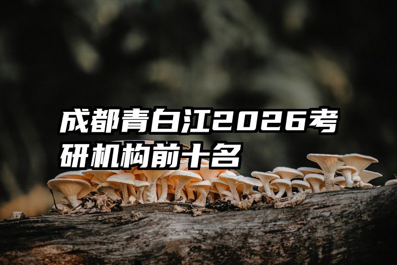 成都青白江2026考研机构前十名