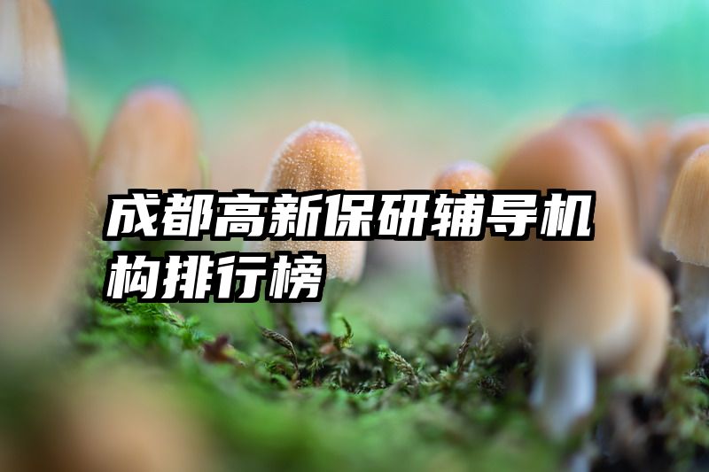 成都高新保研辅导机构排行榜