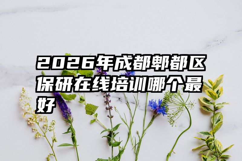 2026年成都郫都区保研在线培训哪个最好