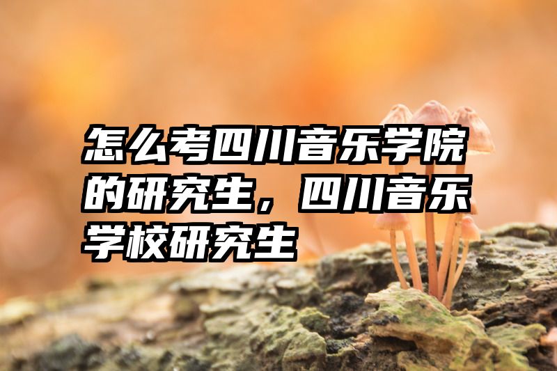 怎么考四川音乐学院的研究生,四川音乐学校研究生