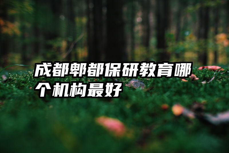 成都郫都保研教育哪个机构最好