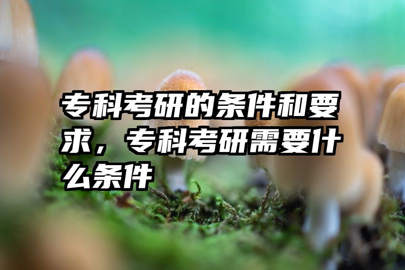 专科考研的条件和要求，专科考研需要什么条件