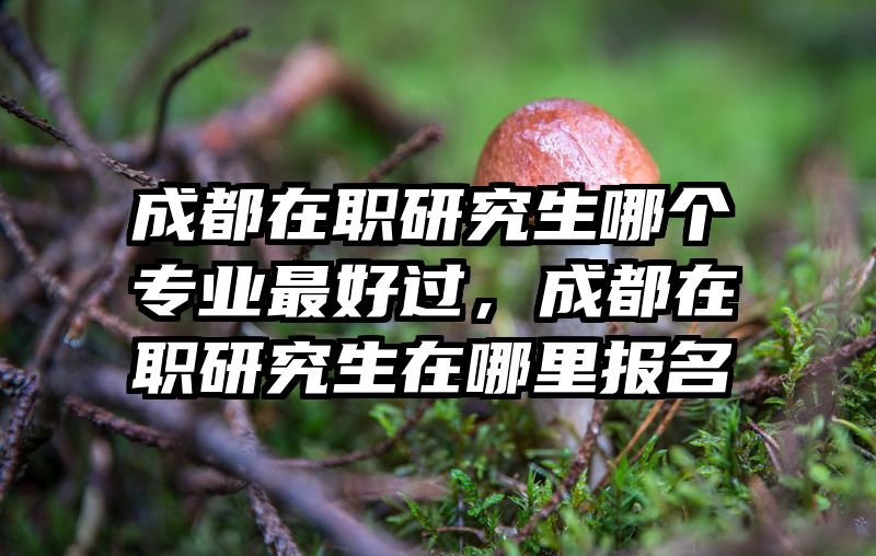 成都在职研究生哪个专业最好过，成都在职研究生在哪里报名