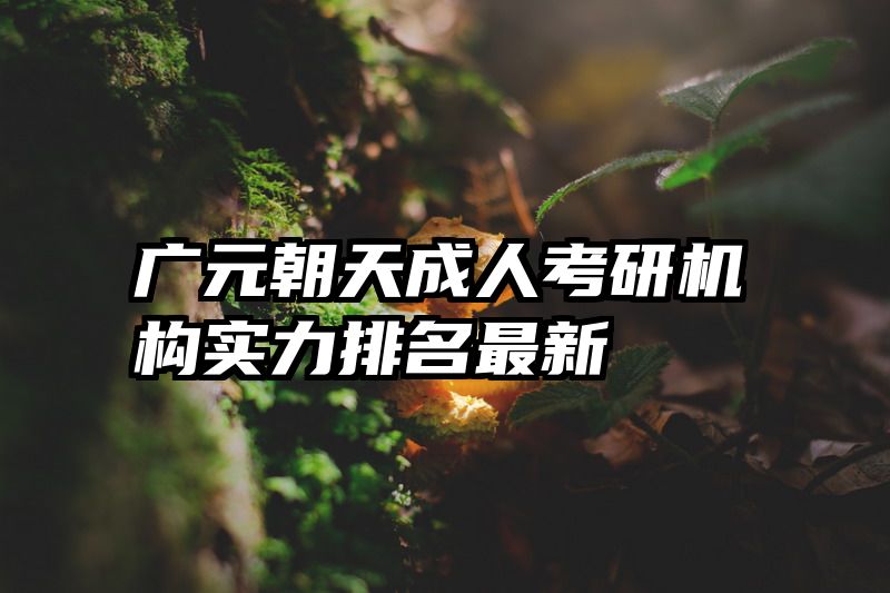 广元朝天成人考研机构实力排名最新