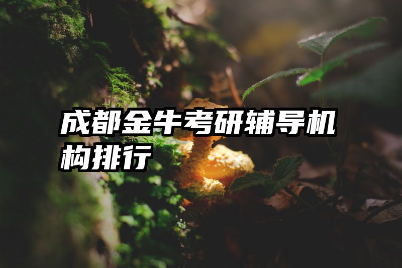 成都金牛考研辅导机构排行