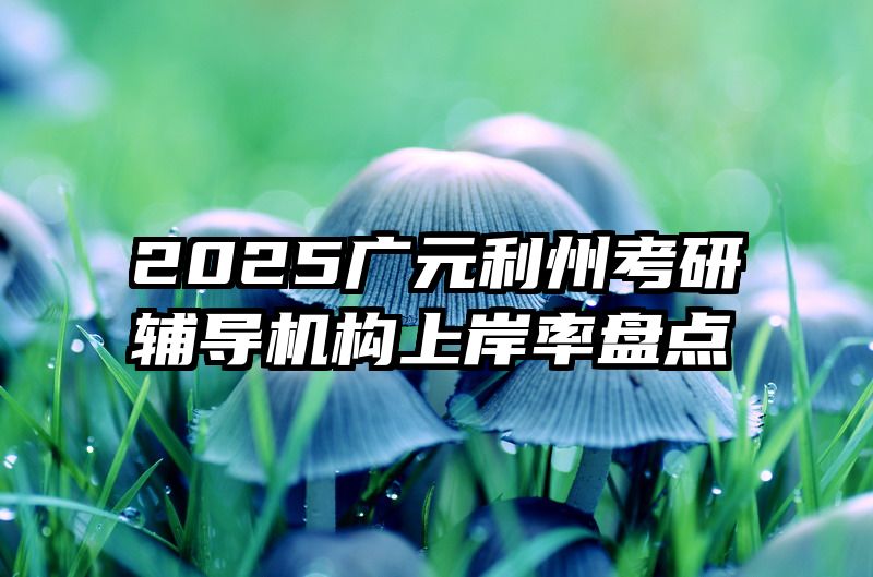 2025广元利州考研辅导机构上岸率盘点