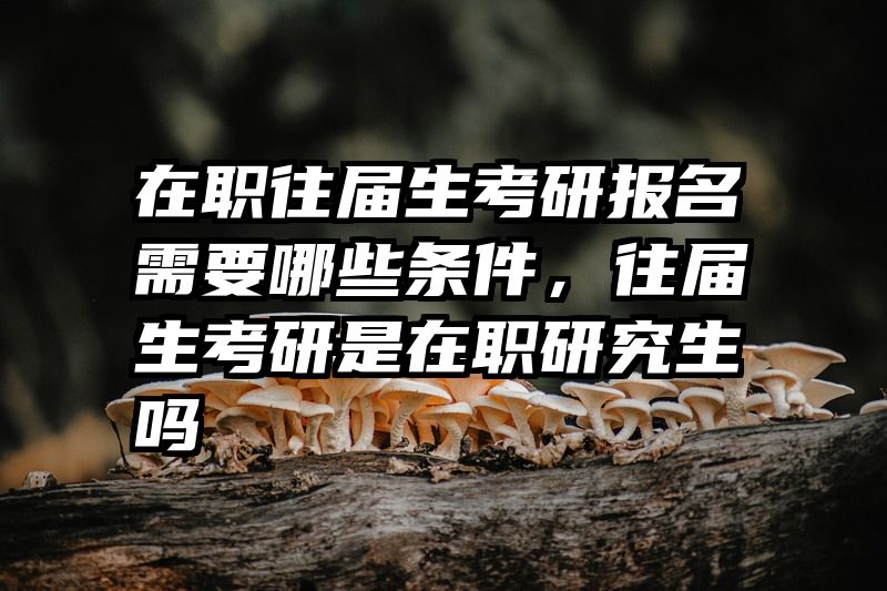 在职往届生考研报名需要哪些条件,往届生考研是在职研究生吗