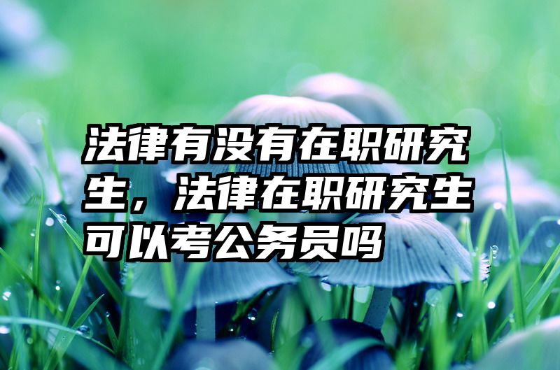 法律有没有在职研究生，法律在职研究生可以考公务员吗