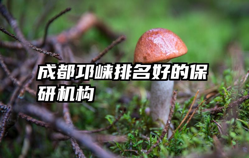 成都邛崃排名好的保研机构