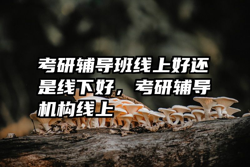 考研辅导班线上好还是线下好，考研辅导机构线上