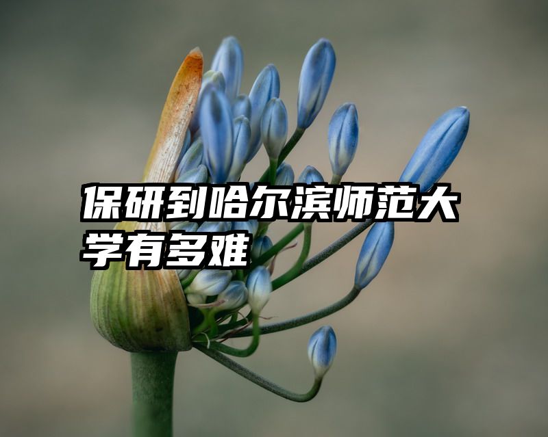 保研到哈尔滨师范大学有多难