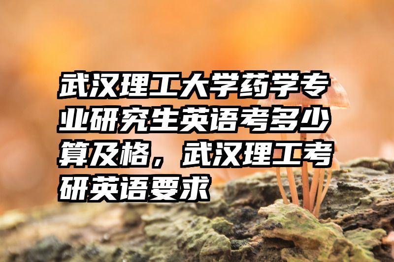 武汉理工大学药学专业研究生英语考多少算及格,武汉理工考研英语要求