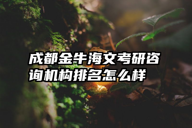 成都金牛海文考研咨询机构排名怎么样