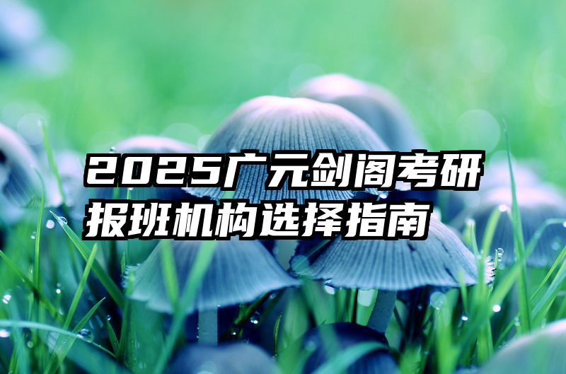 2025广元剑阁考研报班机构选择指南