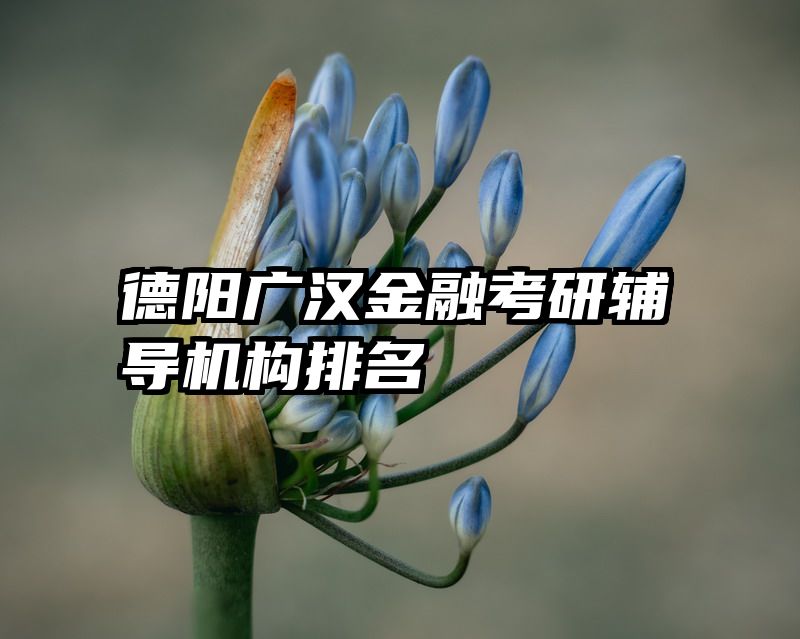 德阳广汉金融考研辅导机构排名