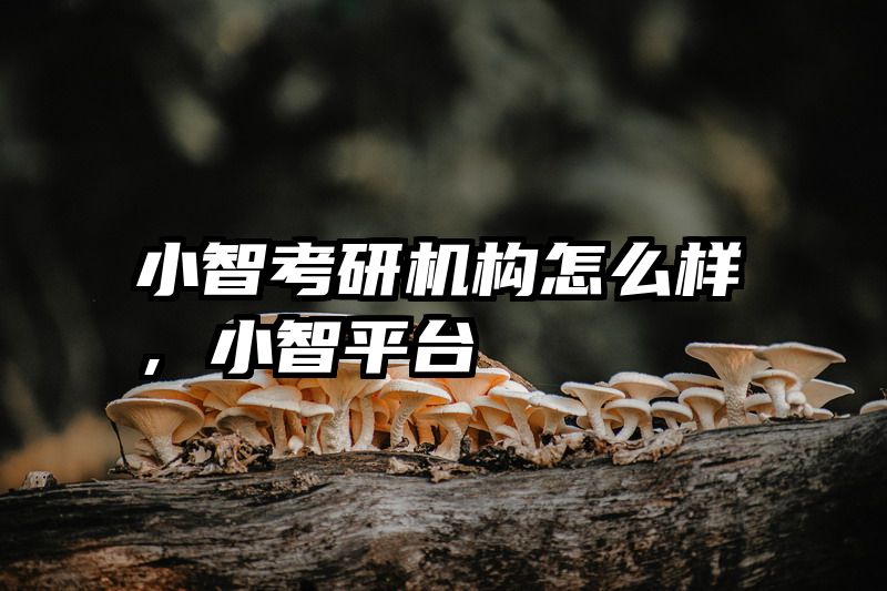 小智考研机构怎么样，小智平台