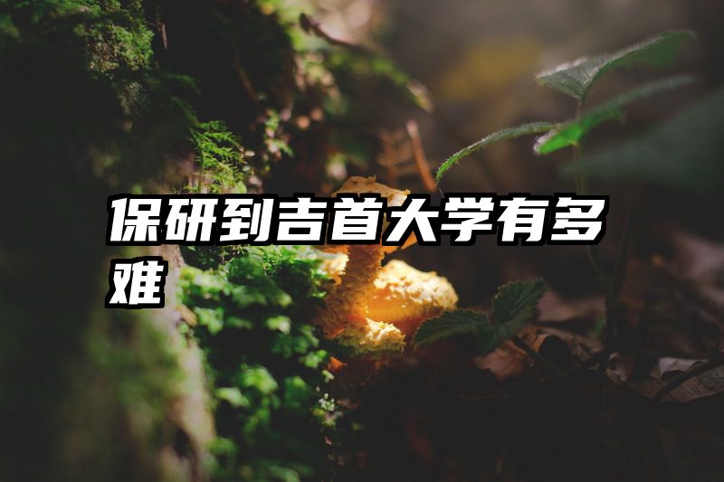 保研到吉首大学有多难