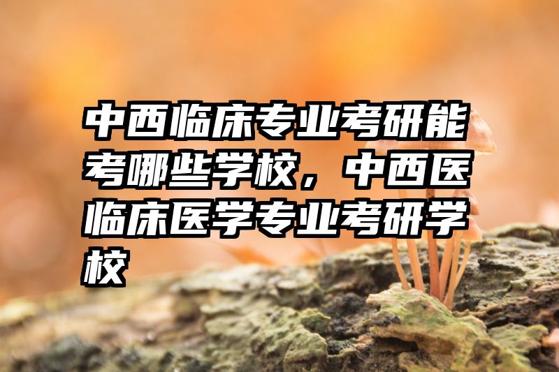 中西临床专业考研能考哪些学校，中西医临床医学专业考研学校