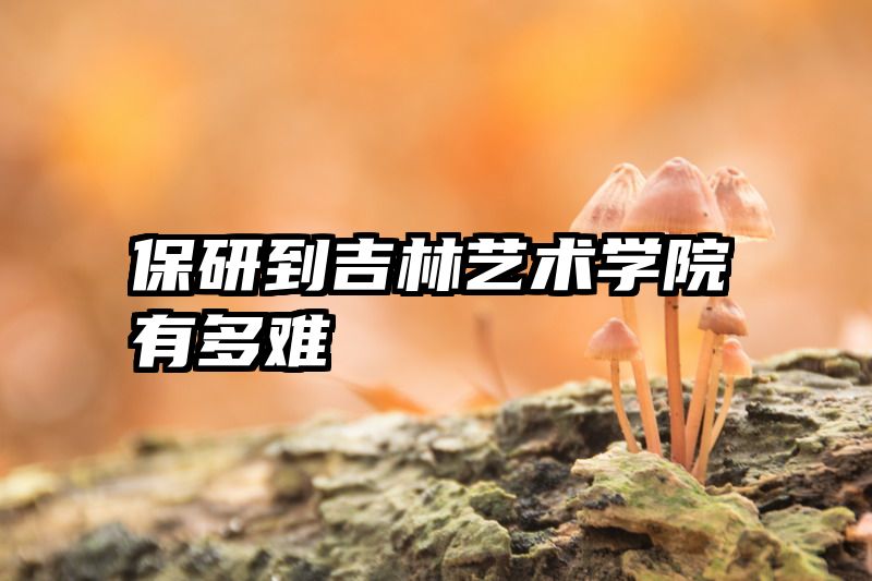 保研到吉林艺术学院有多难