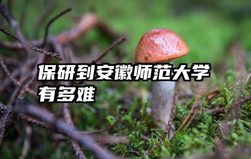 保研到安徽师范大学有多难