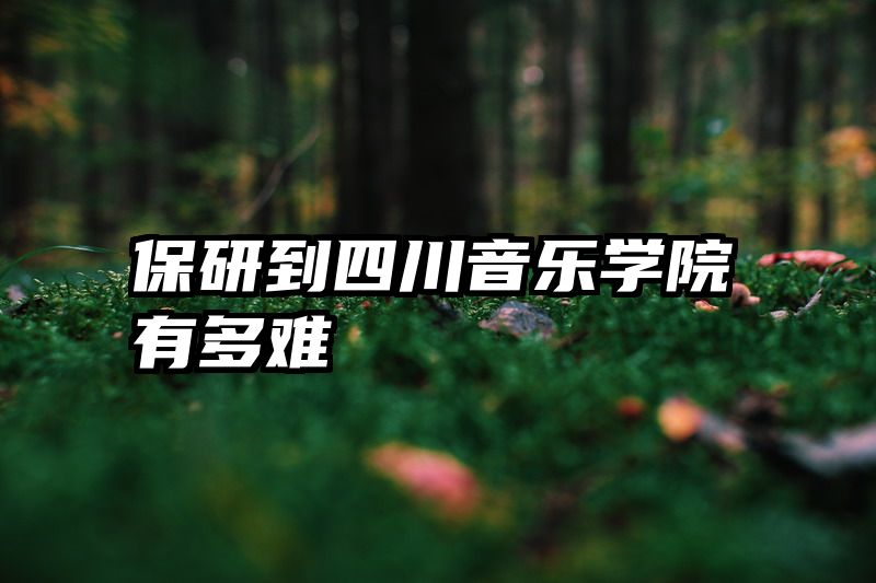 保研到四川音乐学院有多难