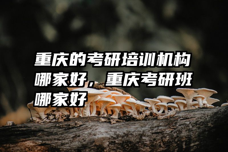 重庆的考研培训机构哪家好,重庆考研班哪家好