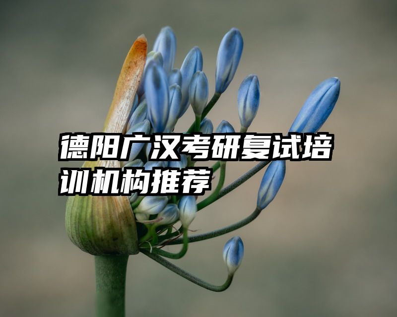 德阳广汉考研复试培训机构推荐