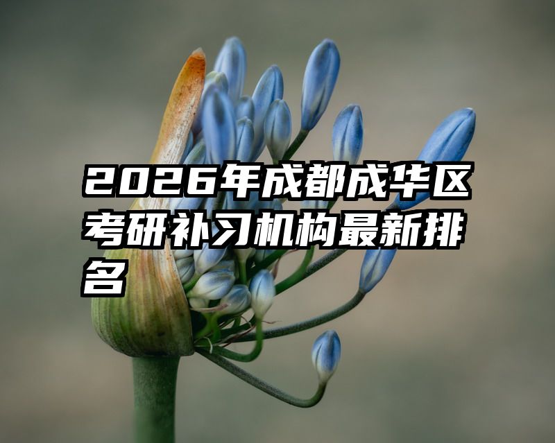 2026年成都成华区考研补习机构最新排名