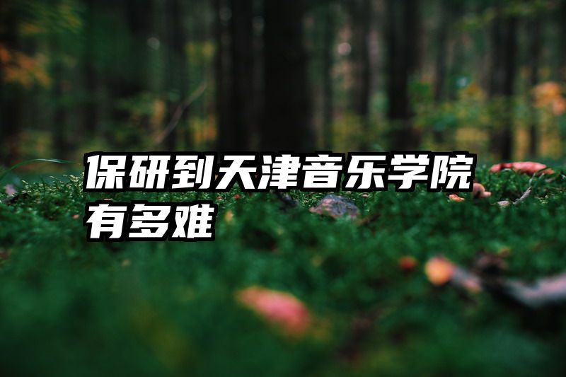 保研到天津音乐学院有多难
