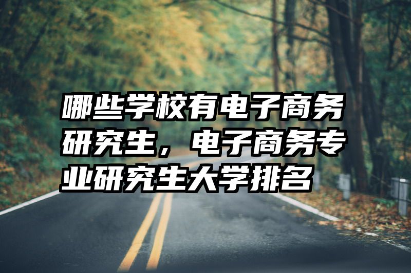 哪些学校有电子商务研究生,电子商务专业研究生大学排名