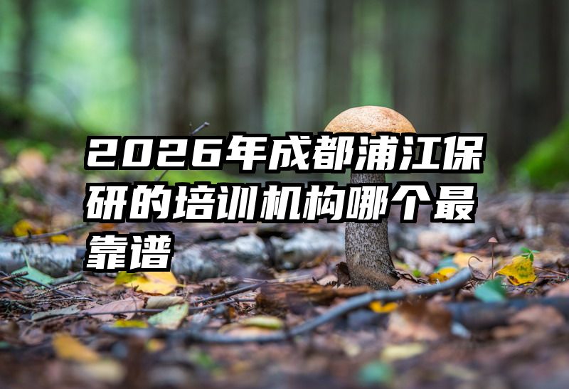 2026年成都浦江保研的培训机构哪个最靠谱