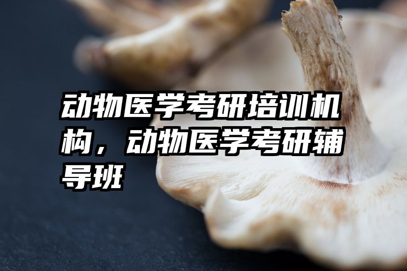 动物医学考研培训机构，动物医学考研辅导班