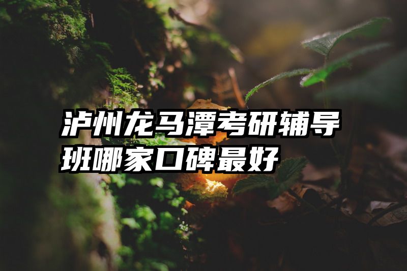 泸州龙马潭考研辅导班哪家口碑最好