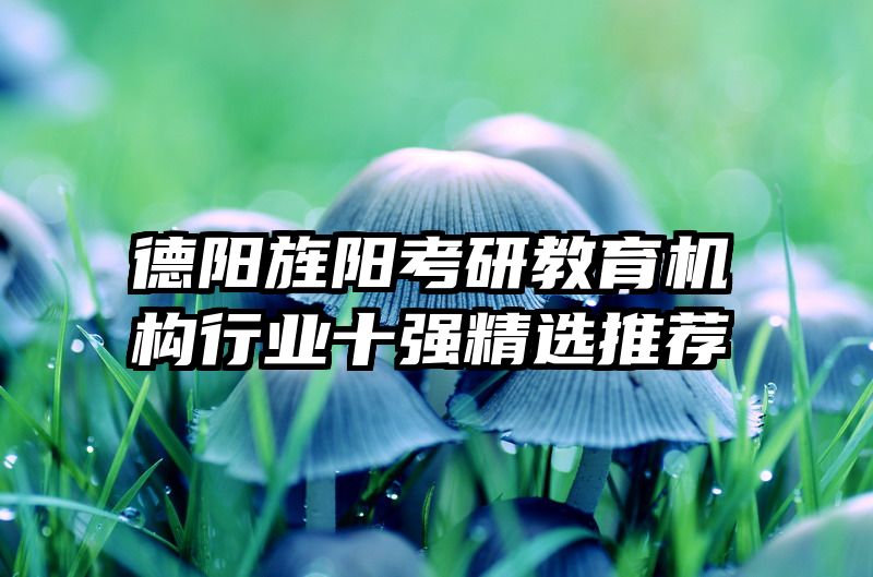 德阳旌阳考研教育机构行业十强精选推荐