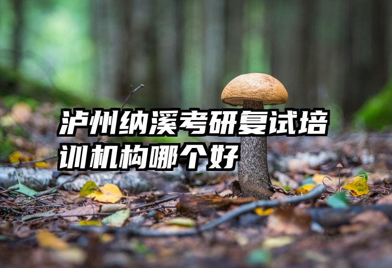 泸州纳溪考研复试培训机构哪个好