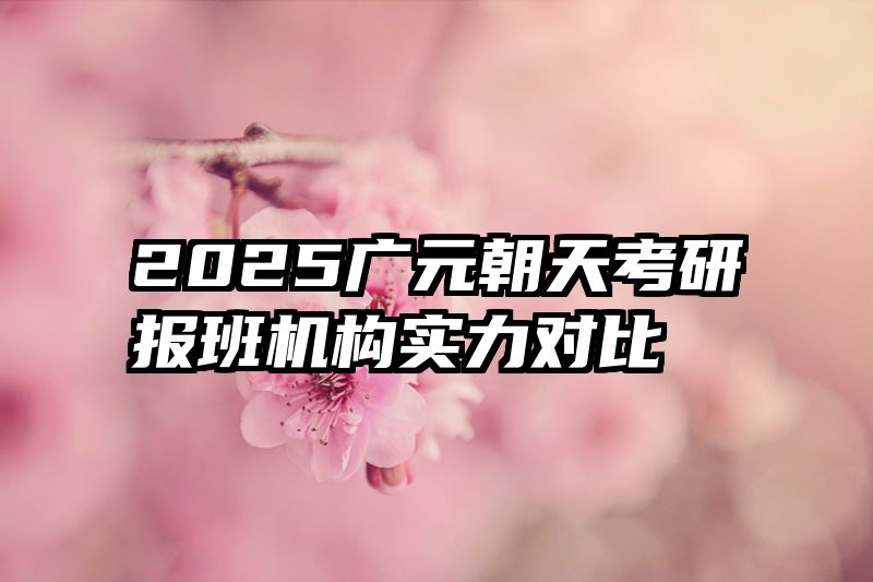 2025广元朝天考研报班机构实力对比