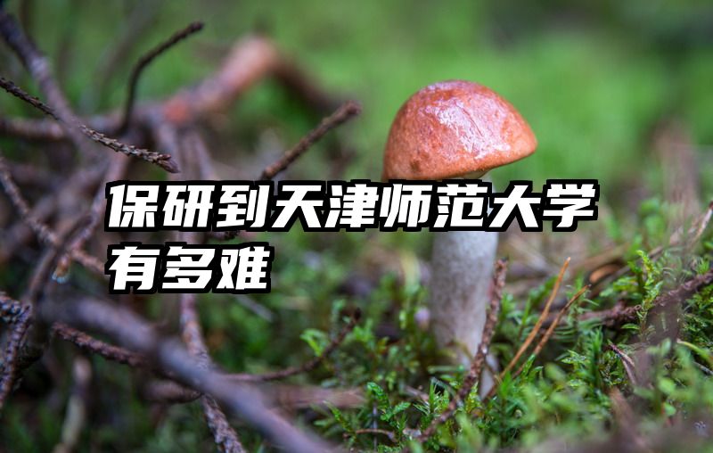 保研到天津师范大学有多难