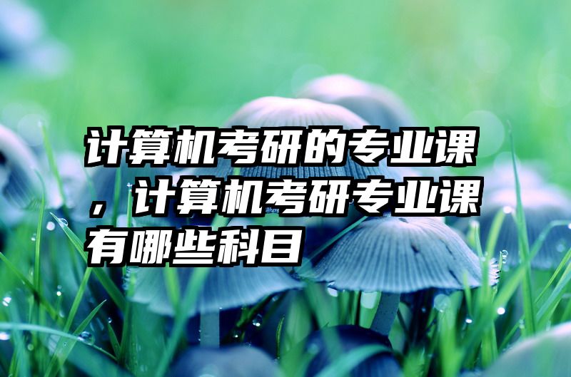 计算机考研的专业课，计算机考研专业课有哪些科目