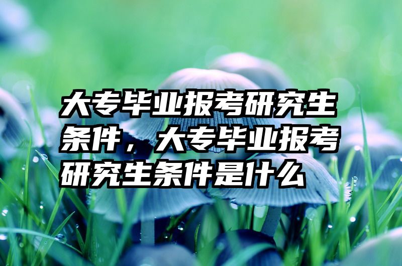 大专毕业报考研究生条件,大专毕业报考研究生条件是什么