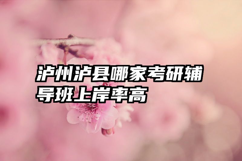 泸州泸县哪家考研辅导班上岸率高