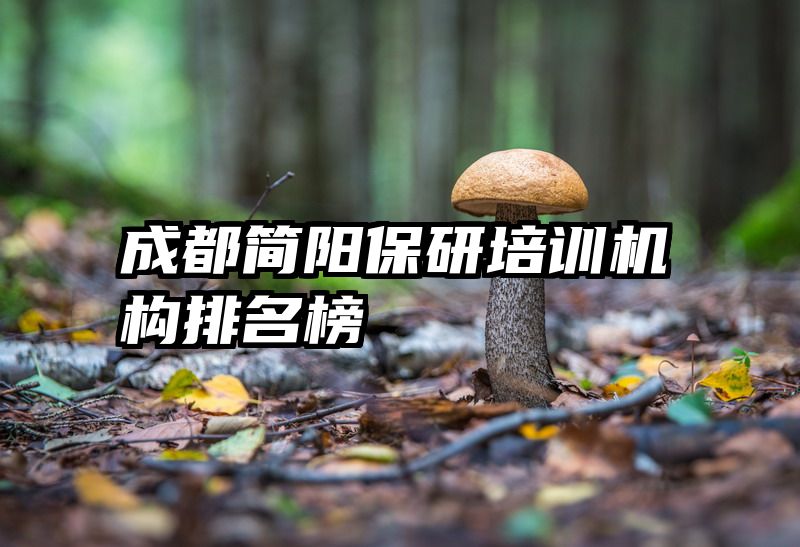 成都简阳保研培训机构排名榜