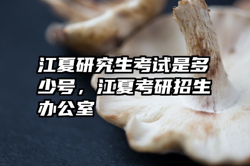 江夏研究生考试是多少号，江夏考研招生办公室