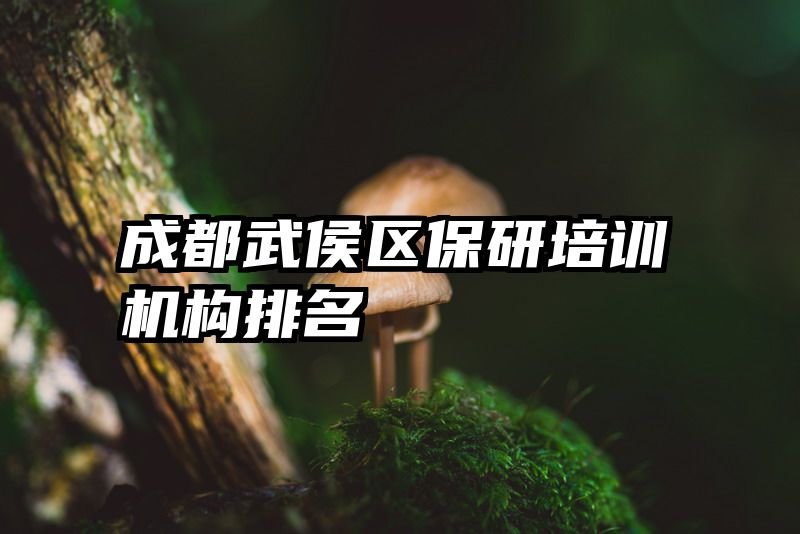 成都武侯区保研培训机构排名